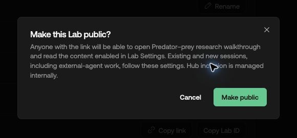 The Make this Lab public confirmation explains that existing and new sessions follow the Lab content settings.