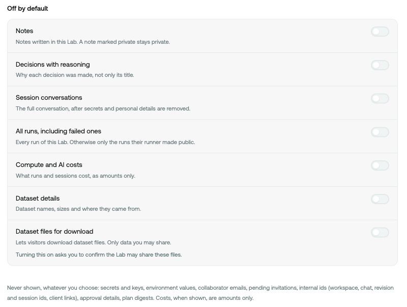 Optional public content controls for notes, decisions, conversations, runs, costs and datasets.